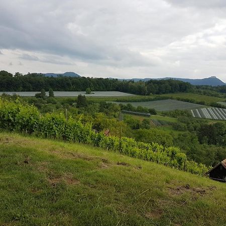 Ferienwohnung Burgblick Im Neuffener Tal Mit Sauna Und Wallbox Frickenhausen  외부 사진