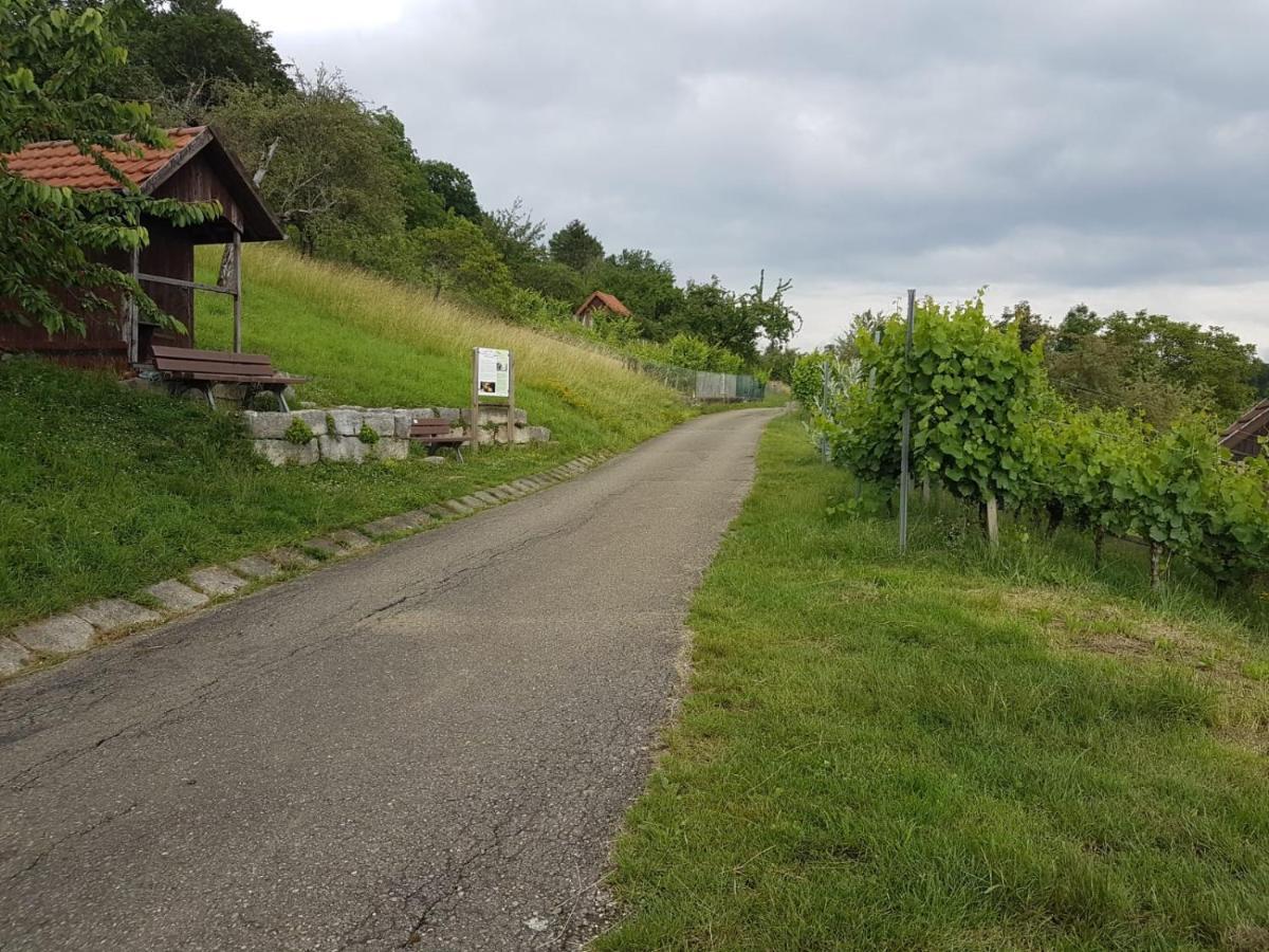 Ferienwohnung Burgblick Im Neuffener Tal Mit Sauna Und Wallbox Frickenhausen  외부 사진