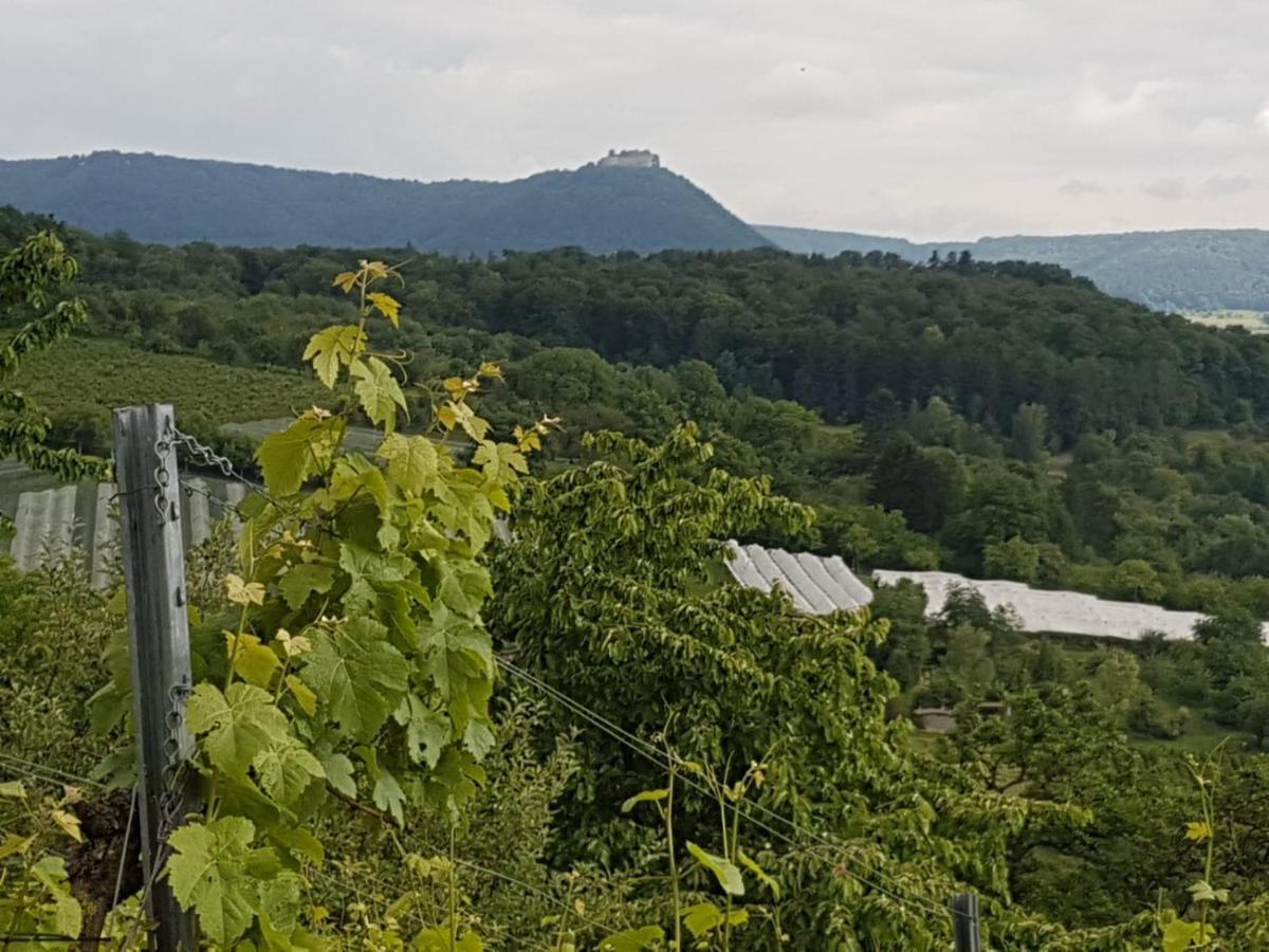 Ferienwohnung Burgblick Im Neuffener Tal Mit Sauna Und Wallbox Frickenhausen  외부 사진