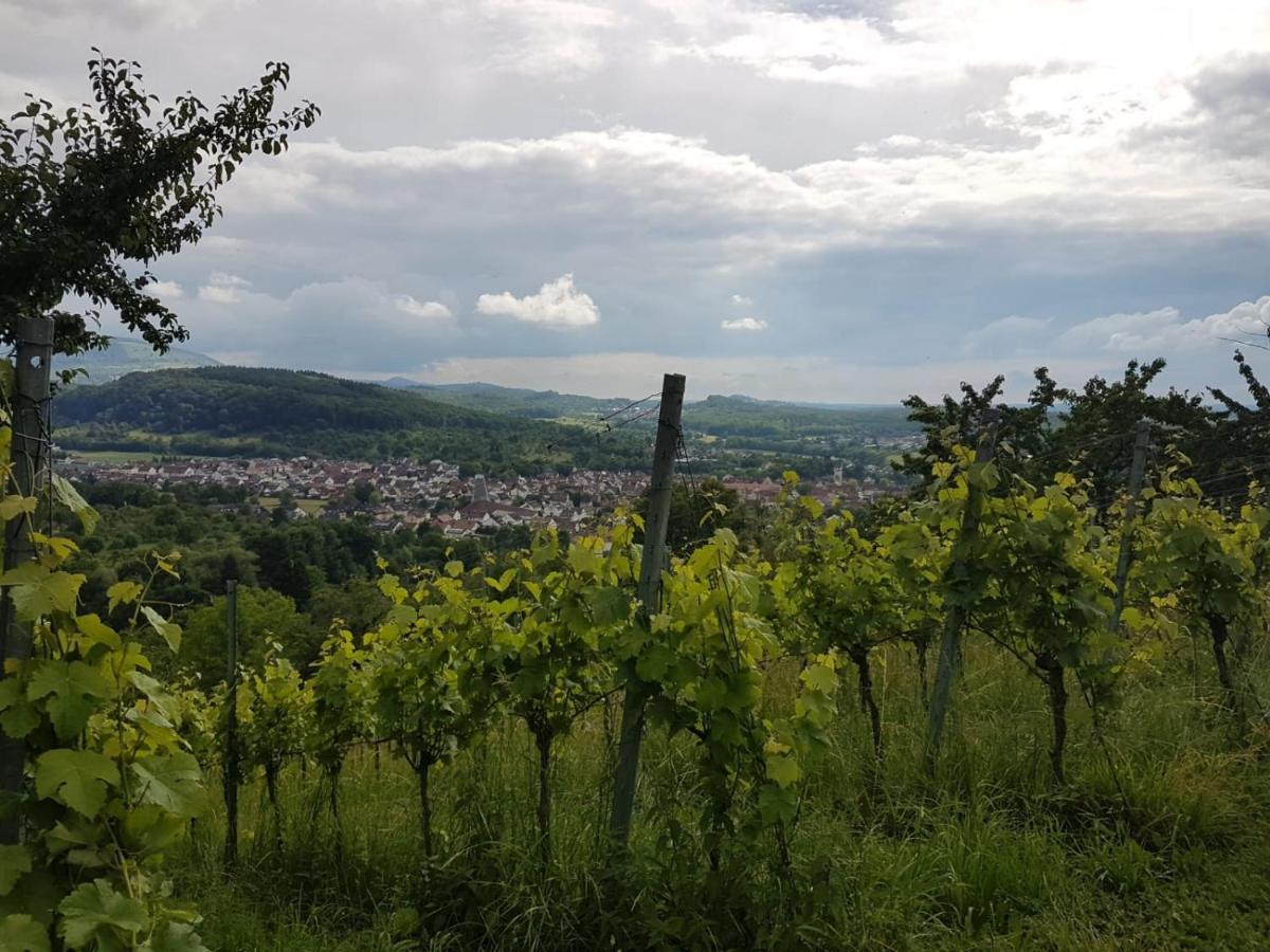 Ferienwohnung Burgblick Im Neuffener Tal Mit Sauna Und Wallbox Frickenhausen  외부 사진